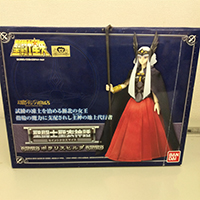 聖闘士聖衣神話 ポラリス ヒルダ